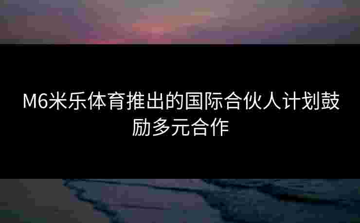 M6米乐体育推出的国际合伙人计划鼓励多元合作